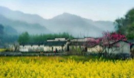 江西婺源热点爆料事件视频,揭秘古村落背后的争议瞬间