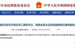 山东最新爆料消息新闻,揭秘重大事件背后真相